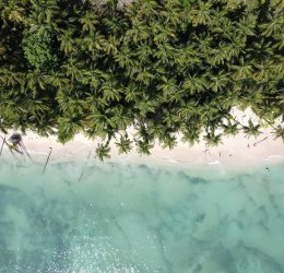 Туры в Панаму 2025 из Москвы - цена на отдых от туроператора Coral Travel