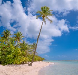 Туры в Гваделупу 2025 из Москвы - цена на отдых от туроператора Coral Travel