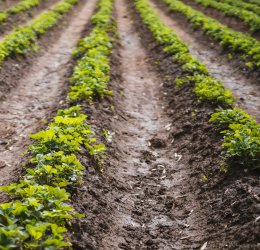 Туры  2025 из Москвы - цена на отдых от туроператора Coral Travel