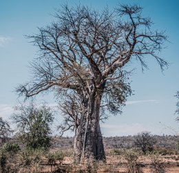 Туры  2025 из Москвы - цена на отдых от туроператора Coral Travel