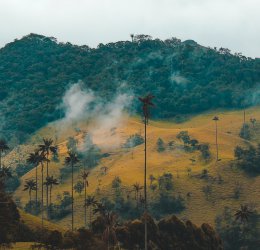 Туры  2025 из Москвы - цена на отдых от туроператора Coral Travel