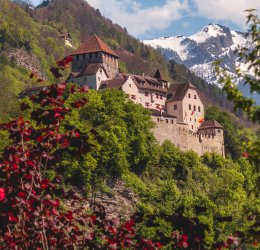 Туры  2025 из Москвы - цена на отдых от туроператора Coral Travel