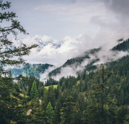 Туры  2025 из Москвы - цена на отдых от туроператора Coral Travel