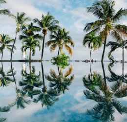 Туры на Маврикий 2025 из Москвы - цена на отдых от туроператора Coral Travel