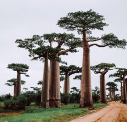 Туры  2025 из Москвы - цена на отдых от туроператора Coral Travel