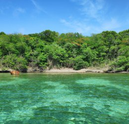 Туры  2025 из Москвы - цена на отдых от туроператора Coral Travel