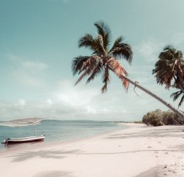 Туры  2025 из Москвы - цена на отдых от туроператора Coral Travel