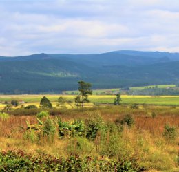 Туры в Свазиленд 2025 из Москвы - цена на отдых от туроператора Coral Travel