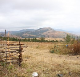 Туры в Свазиленд 2025 из Москвы - цена на отдых от туроператора Coral Travel