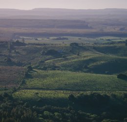 Туры  2025 из Москвы - цена на отдых от туроператора Coral Travel