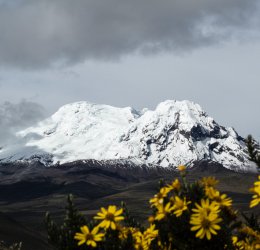 Туры в Эквадор 2025 из Москвы - цена на отдых от туроператора Coral Travel