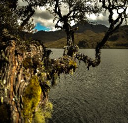 Туры в Эквадор 2025 из Москвы - цена на отдых от туроператора Coral Travel