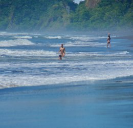 Туры в Коста-Рику 2025 из Москвы - цена на отдых от туроператора Coral Travel