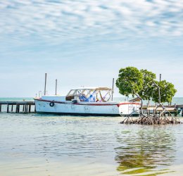 Туры в Белиз 2025 из Москвы - цена на отдых от туроператора Coral Travel