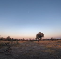 Туры в Ботсвану 2025 из Москвы - цена на отдых от туроператора Coral Travel