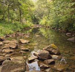 Туры в Новый Афон 2025 - цены на путевки в Абхазию из Москвы от туроператора Coral Travel