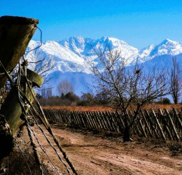 Туры в Мендосу 2025 - цены на путевки в Аргентину из Москвы от туроператора Coral Travel