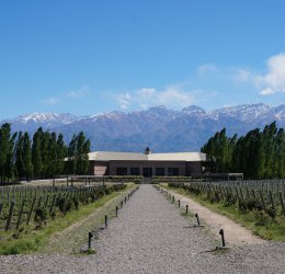 Туры в Мендосу 2025 - цены на путевки в Аргентину из Москвы от туроператора Coral Travel