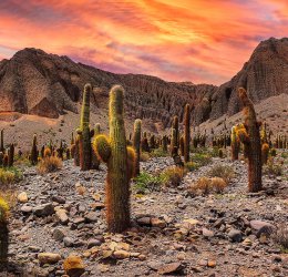 Туры в Сальту 2025 - цены на путевки в Аргентину из Москвы от туроператора Coral Travel