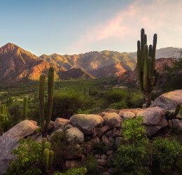 Туры в Сальту 2025 - цены на путевки в Аргентину из Москвы от туроператора Coral Travel