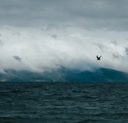 Туры в Севан 2025 - цены на путевки в Армению из Москвы от туроператора Coral Travel