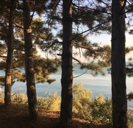 Туры в Севан 2025 - цены на путевки в Армению из Москвы от туроператора Coral Travel