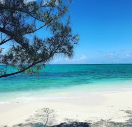 Туры на Нассау 2025 - цены на путевки на Багамы из Москвы от туроператора Coral Travel