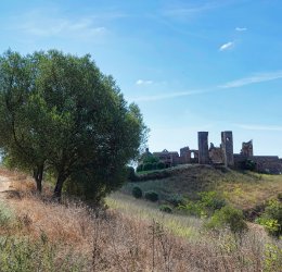 Туры на о. Эльютера 2025 - цены на путевки на Багамы из Москвы от туроператора Coral Travel