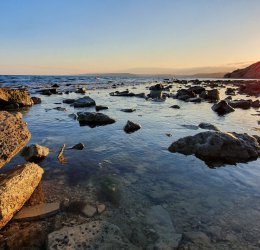 Туры в Балчик 2025 - цены на путевки в Болгарию из Москвы от туроператора Coral Travel