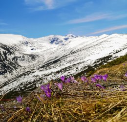 Туры в Боровец 2025 - цены на путевки в Болгарию из Москвы от туроператора Coral Travel