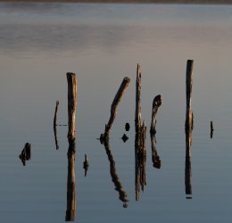 Туры в Поморие 2025 - цены на путевки в Болгарию из Москвы от туроператора Coral Travel