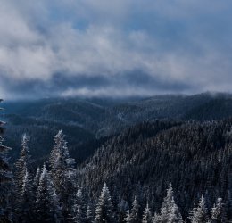 Туры в Пампорово 2025 - цены на путевки в Болгарию из Москвы от туроператора Coral Travel