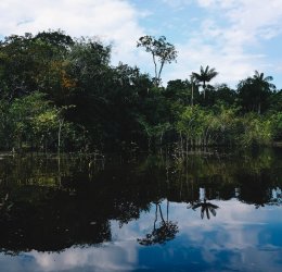 Туры в Манаус 2025 - цены на путевки в Бразилию из Москвы от туроператора Coral Travel