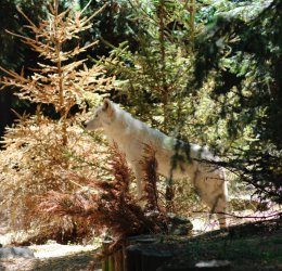 Туры в Рио де Жанейро 2025 - цены на путевки в Бразилию из Москвы от туроператора Coral Travel