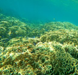 Туры на Фукуок 2025 - цены на путевки во Вьетнам из Москвы от туроператора Coral Travel