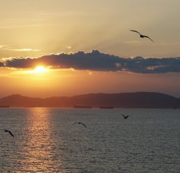 Туры в Пирей 2025 - цены на путевки в Грецию из Москвы от туроператора Coral Travel