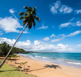 Туры в Саману 2025 - цены на путевки в Доминикану из Москвы от туроператора Coral Travel