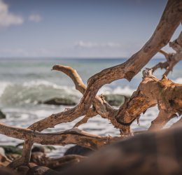 Туры в Кап Кану 2025 - цены на путевки в Доминикану из Москвы от туроператора Coral Travel