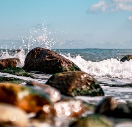 Туры в Кап Кану 2025 - цены на путевки в Доминикану из Москвы от туроператора Coral Travel