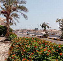 Туры в Хургаду 2025 - цены на путевки в Египет из Москвы от туроператора Coral Travel