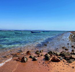 Туры в Дахаб 2025 - цены на путевки в Египет из Москвы от туроператора Coral Travel