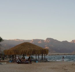 Туры в Нувейбу 2025 - цены на путевки в Египет из Москвы от туроператора Coral Travel