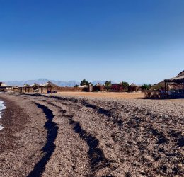 Туры в Нувейбу 2025 - цены на путевки в Египет из Москвы от туроператора Coral Travel