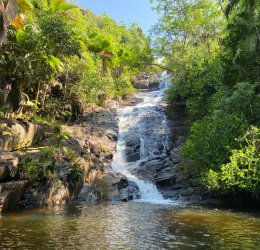 Туры в Порт-Саид 2025 - цены на путевки в Египет из Москвы от туроператора Coral Travel