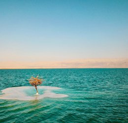 Туры на Мертвое море (Израиль) 2025 - цены на путевки в Израиль из Москвы от туроператора Coral Travel