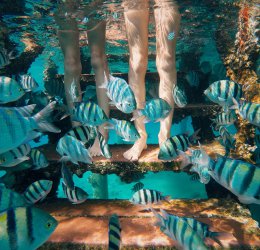 Туры в Эйлат 2025 - цены на путевки в Израиль из Москвы от туроператора Coral Travel