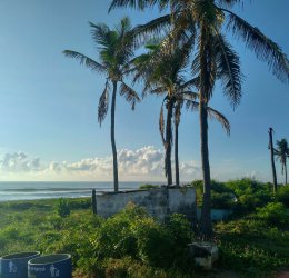 Туры в Ченнай 2025 - цены на путевки в Индию из Москвы от туроператора Coral Travel