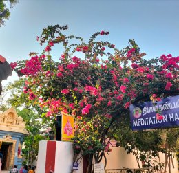 Туры в Ченнай 2025 - цены на путевки в Индию из Москвы от туроператора Coral Travel