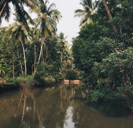 Туры в Дели 2025 - цены на путевки в Индию из Москвы от туроператора Coral Travel