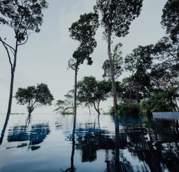 Туры на о. Бинтан 2025 - цены на путевки в Индонезию из Москвы от туроператора Coral Travel